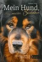 bokomslag Mein Hund, mein Buddha