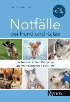 bokomslag Notfälle bei Hund und Katze