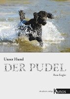 bokomslag Der Pudel