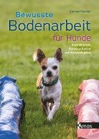 bokomslag Bewusste Bodenarbeit für Hunde