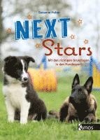 bokomslag Next Stars