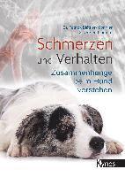 Schmerzen und Verhalten 1