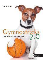 Gymnastricks 2.0 1