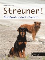 Streuner! 1