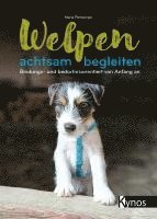 Welpen achtsam begleiten 1