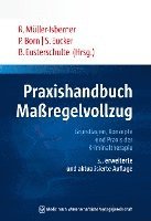 bokomslag Praxishandbuch Maßregelvollzug