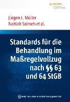 bokomslag Standards für die Behandlung im Maßregelvollzug nach §§ 63 und 64 StGB