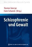 bokomslag Schizophrenie und Gewalt