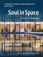 bokomslag Soul in Space