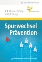Spurwechsel Prävention