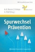 Spurwechsel Prävention 1