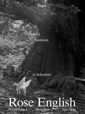 Rose English - Begin Suddenly in Splendour, Häftad