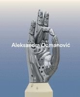 bokomslag Aleksandra Domanovi¿