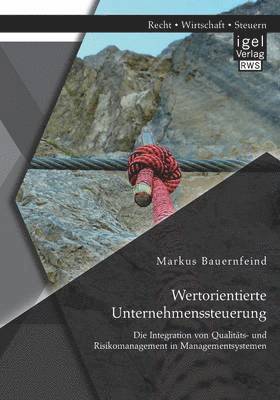 bokomslag Wertorientierte Unternehmenssteuerung