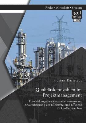 Florian Karlstedt - Qualitätskennzahlen im Projektmanagement, Häftad