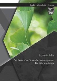 bokomslag Psychosoziales Gesundheitsmanagement fr Fhrungskrfte