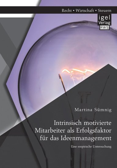 bokomslag Intrinsisch motivierte Mitarbeiter als Erfolgsfaktor fr das Ideenmanagement