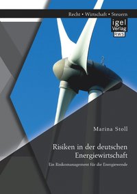 bokomslag Risiken in der deutschen Energiewirtschaft. Ein Risikomanagement fr die Energiewende