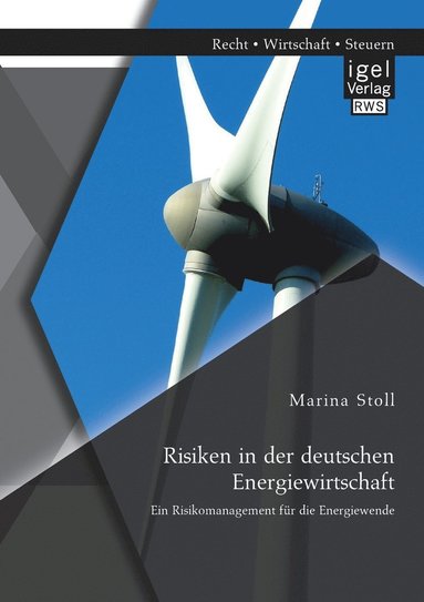 bokomslag Risiken in der deutschen Energiewirtschaft. Ein Risikomanagement für die Energiewende