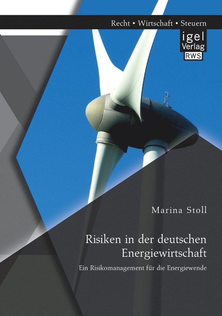 Risiken in der deutschen Energiewirtschaft. Ein Risikomanagement fr die Energiewende 1