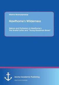 bokomslag Hawthorne's Wilderness