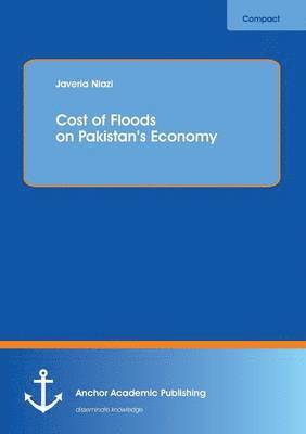 bokomslag Cost of Floods on Pakistan's Economy