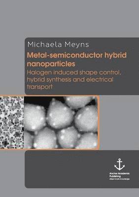 Michaela Meyns - Metal-semiconductor hybrid nanoparticles, Häftad