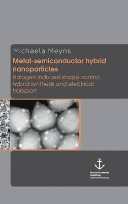 bokomslag Metal-semiconductor hybrid nanoparticles