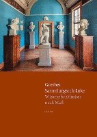 bokomslag Goethes Sammlungsschranke: Wissensbehaltnisse Nach Mass