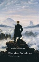 bokomslag Über dem Nebelmeer