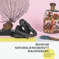 bokomslag Museum Naturalienkabinett Waldenburg