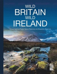 bokomslag Wild Britain | Wild Ireland