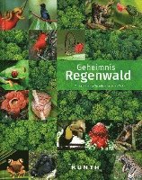 bokomslag KUNTH Bildband Geheimnis Regenwald