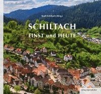 bokomslag Schiltach einst und heute