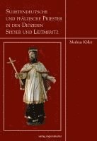 bokomslag Sudetendeutsche und pfälzische Priester in den Diözesen Speyer und Leitmeritz