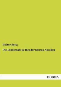 bokomslag Landschaft in Theodor Storms Novellen