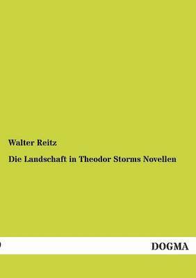 bokomslag Die Landschaft in Theodor Storms Novellen