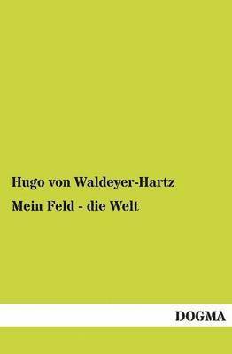 Mein Feld - die Welt 1