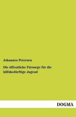 Johannes Petersen - öffentliche Fürsorge für die hilfsbedürftige Jugend, Häftad