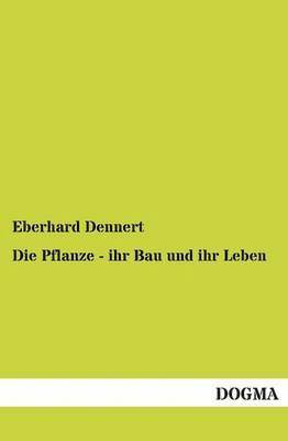 Eberhard Dennert - Pflanze - ihr Bau und ihr Leben, Häftad