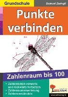 Punkte verbinden 100 1