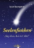Robert Baumgartner - Seelenfunken, Häftad