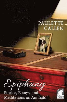 Paulette Callen - Epiphany - Stories, Essays, and Meditations on Animals, Häftad
