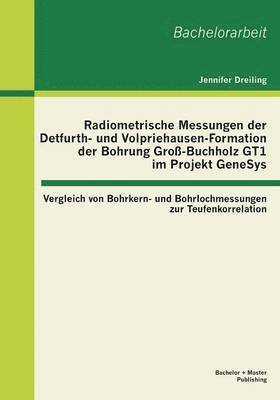 Jennifer Dreiling - Radiometrische Messungen der Detfurth- und Volpriehausen-Formation der Bohrung Groß-Buchholz GT1 im Projekt GeneSys, Häftad