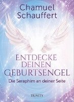 bokomslag Entdecke deinen Geburtsengel