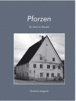 Pforzen 1