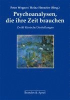 bokomslag Psychoanalysen, die ihre Zeit brauchen