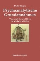 bokomslag Psychoanalytische Grundannahmen