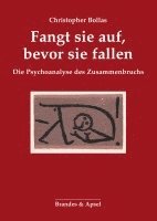 bokomslag Fangt sie auf, bevor sie fallen
