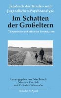 bokomslag Im Schatten der Großeltern